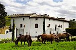 Villa Rignana air conditioned luxury Tuscan villa